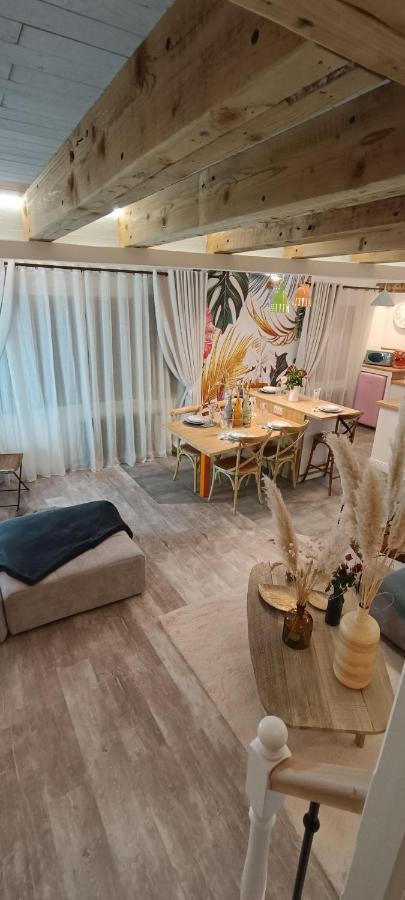 Le Marechal Duplex - Avec Jacuzzi - Hyper Centre Caen